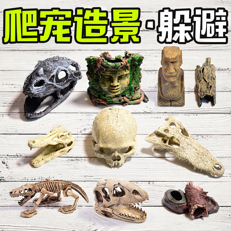 Climbing the coconut shell to escape the cave spider scorpion play Reptile Rock Cave Turtle built to hide from the hiding place