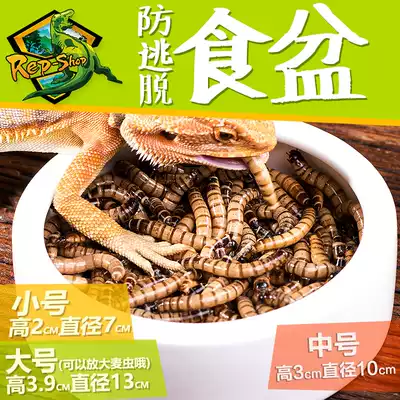 Reptile anti-escape food basin climbing pet palace guard lion live feed Bread worm barley worm anti-escape super SUDO