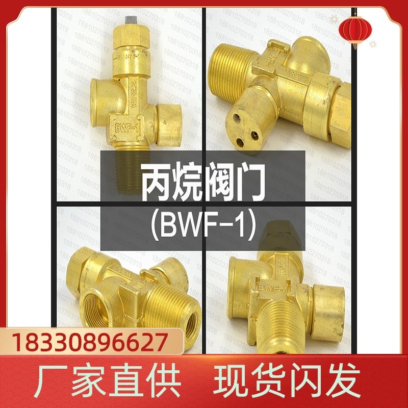 Propane bottle valve valve BWF-1 bottle valve valve propane bottle head propane nozzle big full