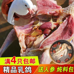 Свежеубитое мясо голубей, местные голуби, свежее мясо кабачков, нестарые голуби, бесплатная доставка и бесплатный женьшень при покупке 3 голубей.