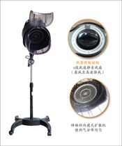 Dongtian Yang new generation large hair dryer(vertical) W-100S
