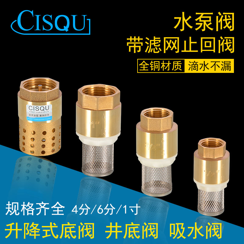 4 6 points 1 inch pump bottom valve All copper water bottom check valve Flower basket with filter check valve Pump valve accessories