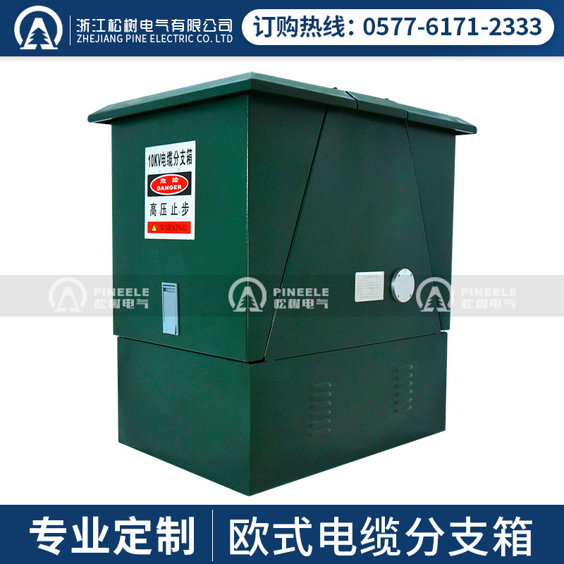 Low Pressure Cable Branch Box 10kv One-in 23 23 45 65 65 of DFW European-style high pressure t switching Sub-box