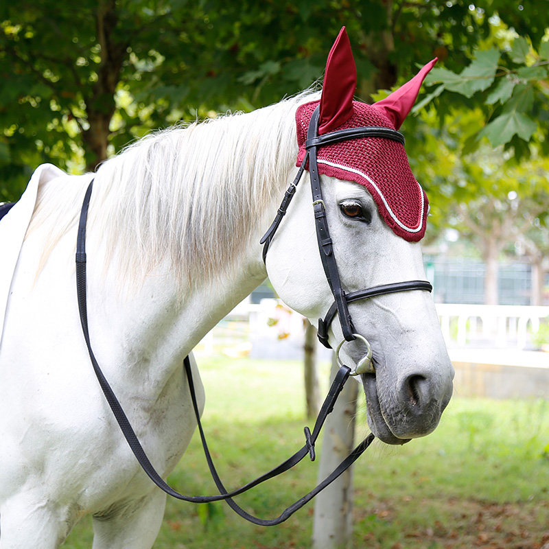 British Shires-Blenheim water reins British cowhide water reins Rocky harness 8208002