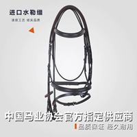 Лошадь британская вода Terrus All Pi Shui la Lushui Rock Malaysia 8218059