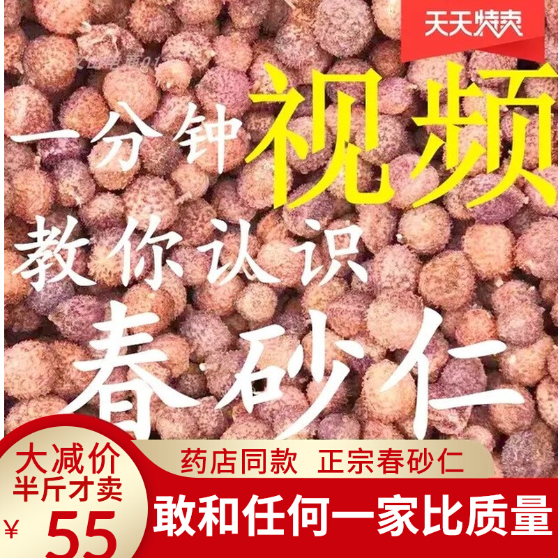 Zhengzongyang Chunchun Chinese Herbal Medicine with Stomach Bubble Wine Special for 250 gr and a Half Catty Pot of Steamed Meat Spring Sarin Ringan