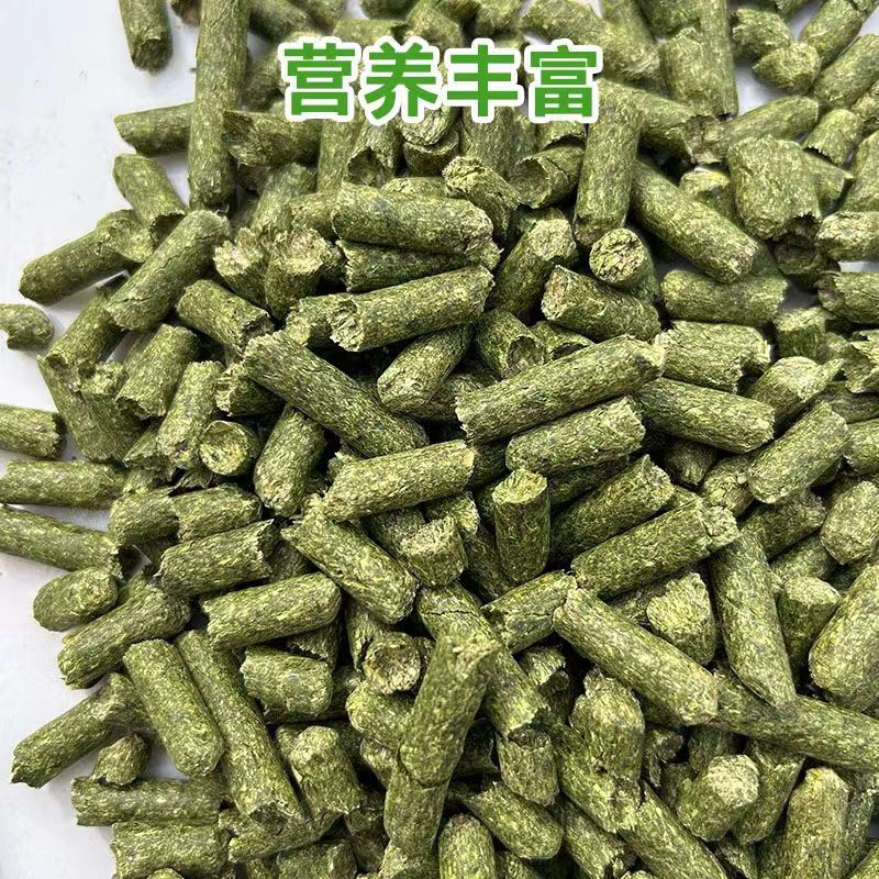 青青苜蓿草