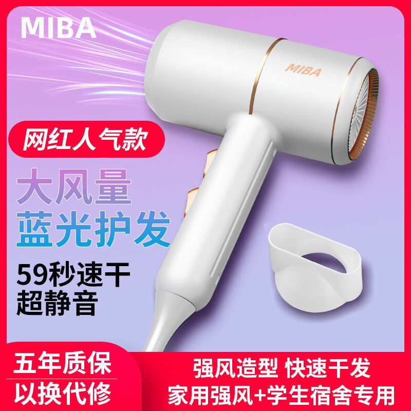 Hair Dryer Home Size Power Student Dormitory Mute Hair Dryer Cylinder Blue Light Negative Ion Hair Dryer Mesh Red