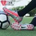 NIKE Giày Nike nam 2020 sát thủ mùa hè mid-end AG đinh ngắn giày bóng đá thể thao sân cỏ BQ5518-906 - Giày bóng đá