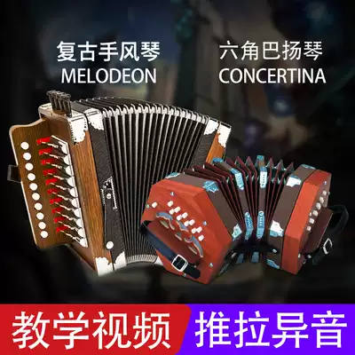 Hexagonal accordion retro 30-key 20-key children's class multi-button adult mini beginner Bayan organ musical instrument teaching materials
