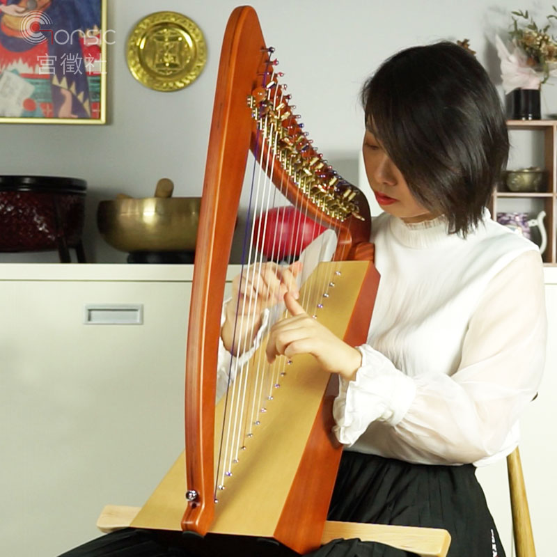 Irish harp professional classical otome Taiwan 15 strings 20 strings classical European portable small beginner instrument