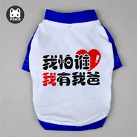 Оригинальное издание I Have My Dad с синими рукавами