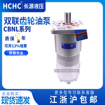 Hefei Changyuan double gear pump CBNL-F563 532-BFHL CBNL-F540 520-BFHL