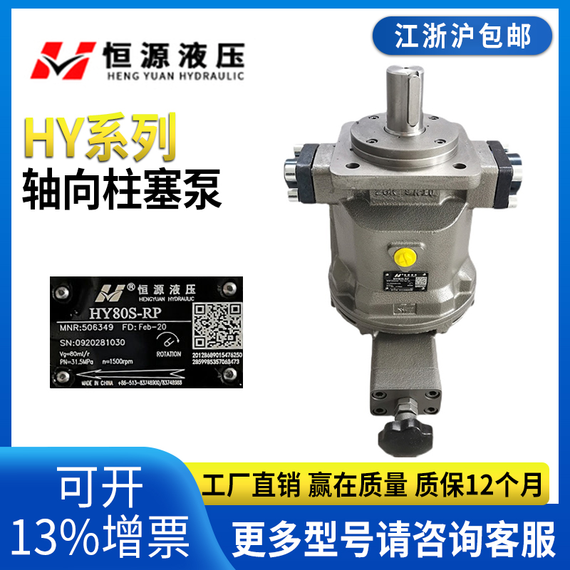 Jiangsu Hengyuan hydraulic axial plunger pump HY10 16 25 40 63 63 80100125 160Y-RP LP
