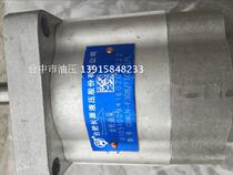 Hefei Changyuan hydraulic gear pump CBWLN-F308 F10-CLPL hydraulic gear pump