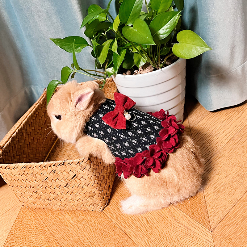 Rabbit Pearl Petal Skirt Dress Traction Rope Rabbit Dutch Pig Kitty Warm Breast with Baby Bag Coveted Rabbit Dwarf Rabbit