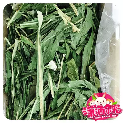 2020 Imported grass chicory drying tender green rabbit Chinchilla guinea pig forage treatment of soft stools and intestines