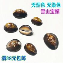 Snow Mountain Treasure Snail Natural Marine Snail Shell Treasure Rare Specimen Snail Fish Tank Aquatic Decoration Terrace Wall Stickup Dyi