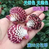 Натуральная раковина раковина масляна раковина, красная стена раковины, свадебное украшение рыбная аквариум -ландшафт