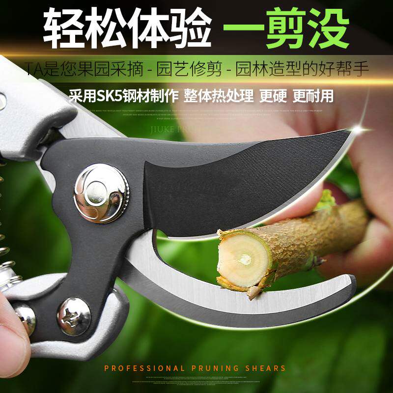 Cut Son Peach Tree Mulberry Tree Branches Suit Flowers Scissors Repair Branch Cut Powerful Orchard Electroplating Gardening Labor-saving Cut Branches Flower Branches