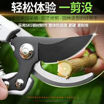 Scissors Peach tree mulberry tree branch set flower scissors Pruning shears powerful orchard electroplating gardening labor-saving pruning flower branches