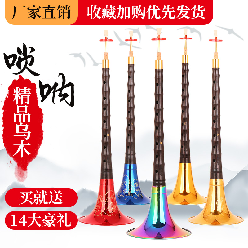 Suona musical instrument full set of professional ebony rod beginner adult entry suona full-tune mirror hall folk horn