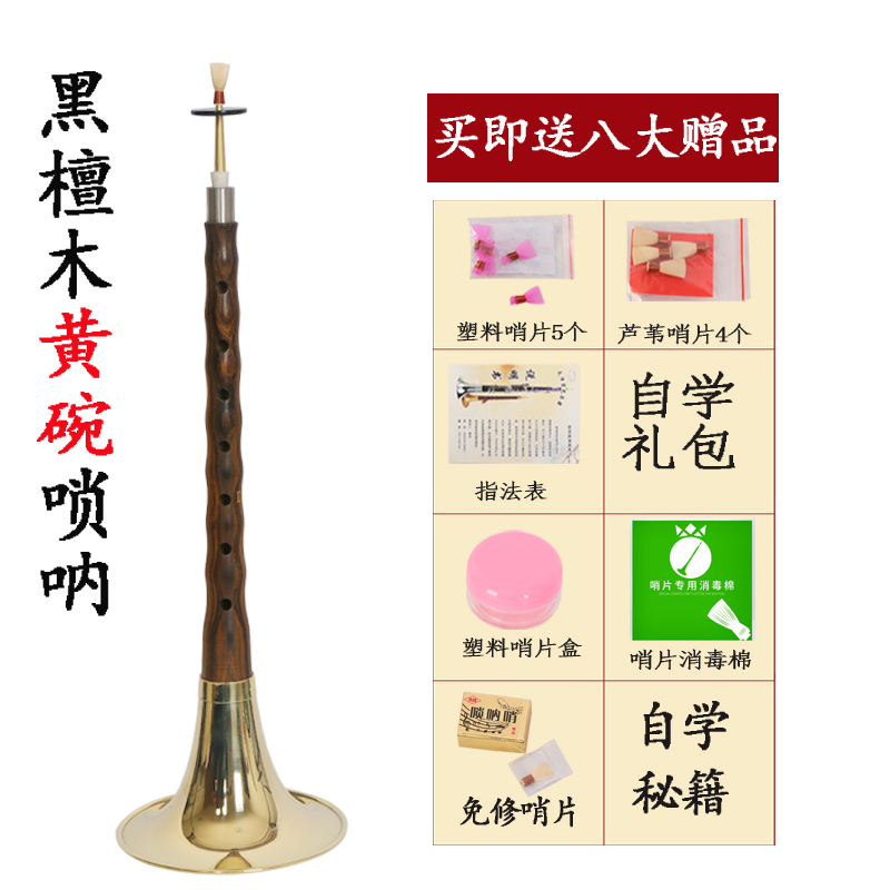 Nhạc cụ cho người mới bắt đầu người lớn gỗ gụ gỗ mun D thiết lập đầy đủ dân tộc pipa pipa nhà máy trực tiếp đàn bầu