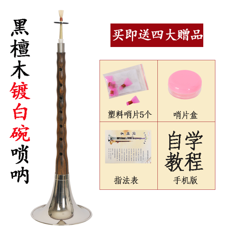 Nhạc cụ cho người mới bắt đầu người lớn gỗ gụ gỗ mun D thiết lập đầy đủ dân tộc pipa pipa nhà máy trực tiếp đàn bầu