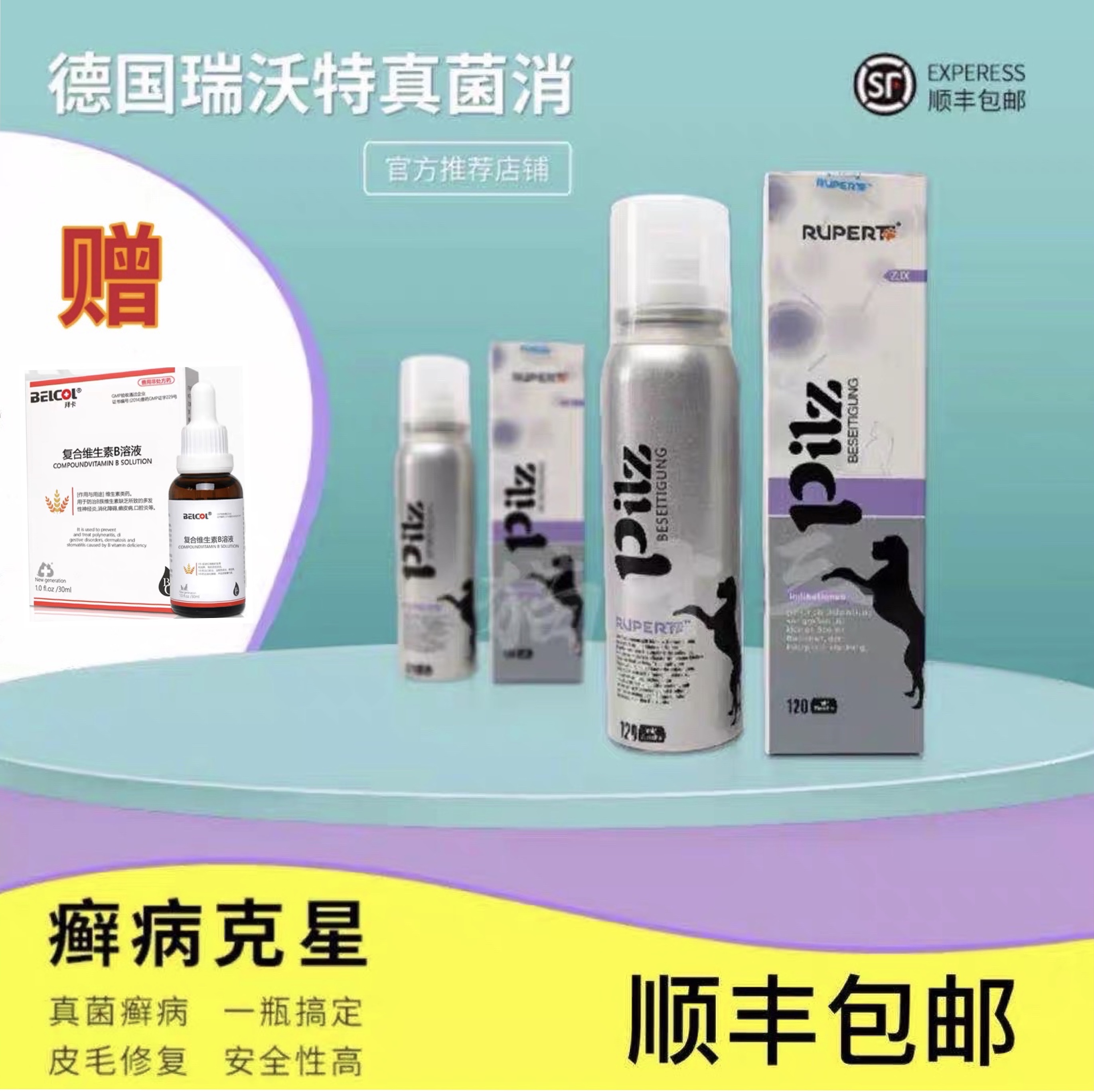 Cat XIII German Ryvot Fungus Reubt Scarb Black Chin Cat and Dog General Shunfeng