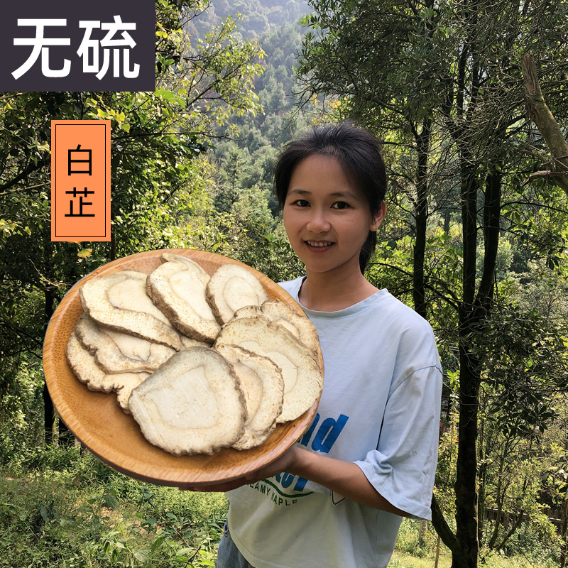 No sulphur Sichuan Big Angelica Slices Dry Goods Chinese Herbal Medicine Bulk 500 gr Halogen Barbecue Hotpot Spices Can Do Facial Mask Powder