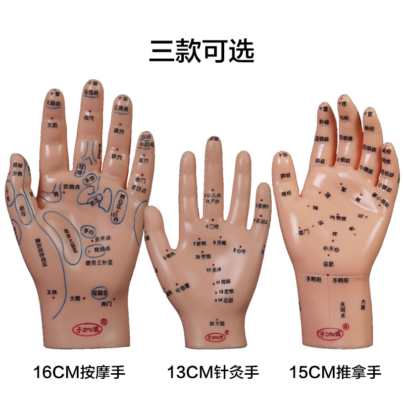 针灸教学手模型 高清晰刻字款针灸训练器材