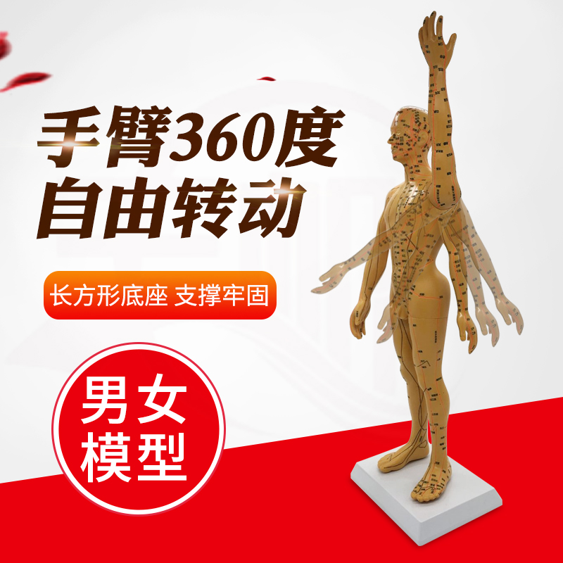 Ultra Clear Lettering Human Meridian Acupoint Model Full Body Traditional Chinese Medicine Used Acupuncture Bronze Man Teaching Male and female Little People Model