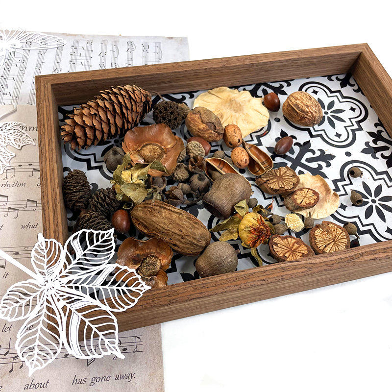 Pine Fruits Wood Pieces Leaves Dry Flower Dry Fruit Combinations Suit Kindergarten Decoration Small Swing Pieces Retro Photo Props