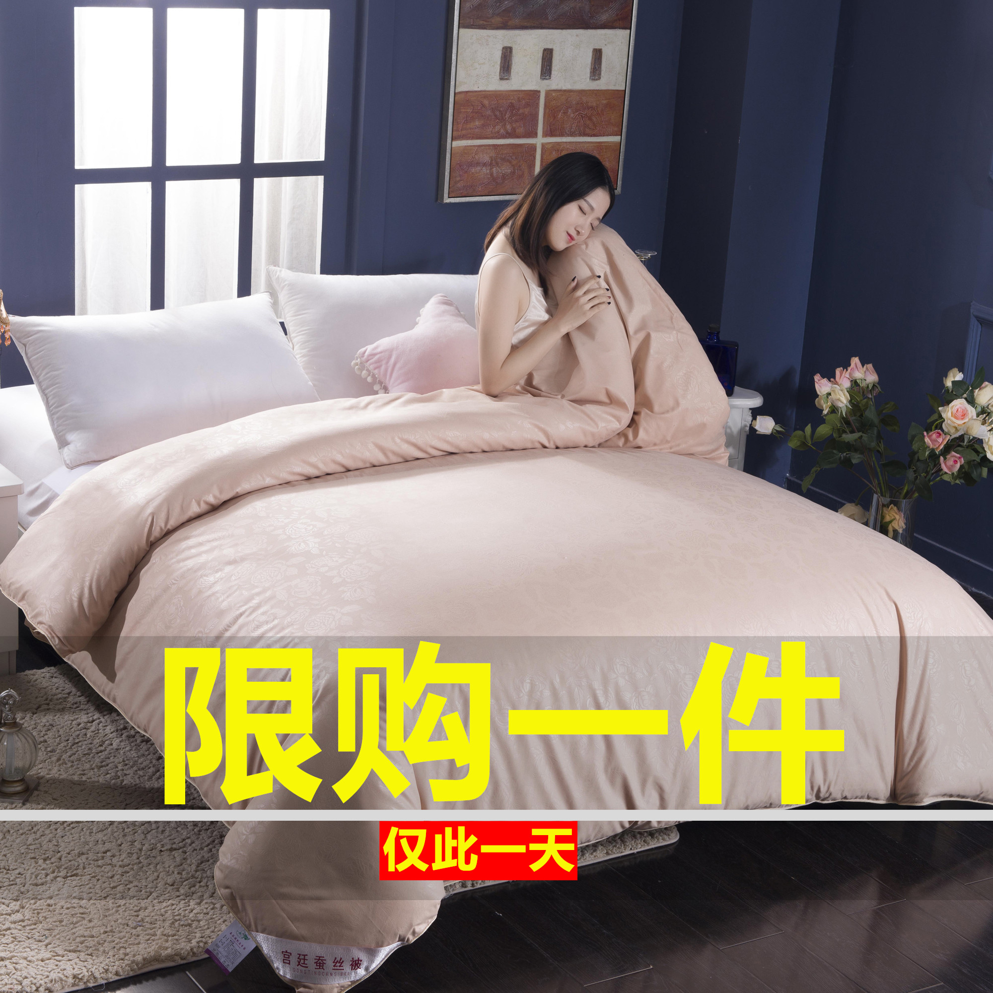 Tongxiang silk quilt Spring and Autumn quilt Mulberry silk t quilt winter quilt thickened winter quilt core Single double