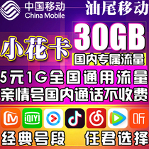 Shanwei Mobile Xiaohua Card Treasure Card Mobile Card High-traffic Internet Card National Universal King Daily Rental Number Card