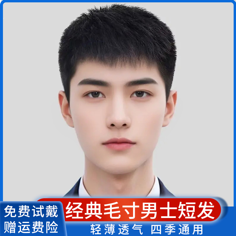 Men's Short Hair Wig, Full Real Hair, Full Head Wig, Men's Hairpiece, Stylish, Natural, Fluffy, Breathable, Realistic