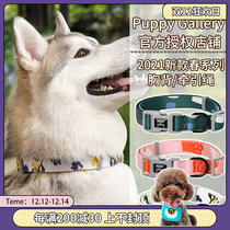 South Korea Puppy Gallery dog collar traction rope into puppies anti-strangling ring Teddy golden hair walking dog rope