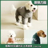 Галерея щенка Южной Кореи, Говорящий четырехпроизводительный плюшевый медвежь