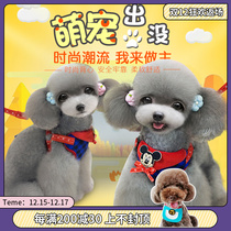 Ollies dog leash breast strap dog chain dog rope vest small dog walking dog rope