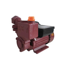 Household self-priming pump 220V automatic electric booster pipeline pump high pressure pump water suction pump cast iron Taizhou