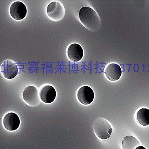 膜法空间25mm聚碳酸酯滤膜径迹蚀刻孔膜PCTE 0.01-30um微塑料公益