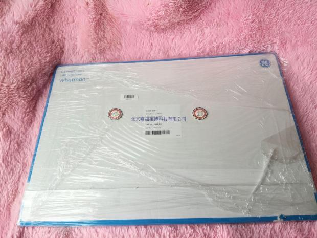 GE Whatman SG81离子交换纸 3668-915 460x570mm探索计划