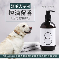 Short -Haired Dog Special (весна и летняя специальная) специальная)