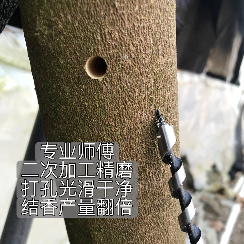Specialized Drill Bits for Making Incense from Agarwood and Kumara Trees, Hand-Polished with Secondary Sharpening, High-Quality Drill Bits