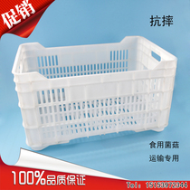 Plastic basket mushroom basket pepper basket vegetable basket turnover basket fruit basket cold storage special basket factory direct sales