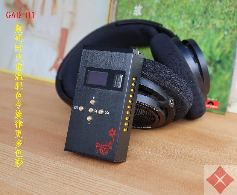 Hearse H1 DSD hard decoding AKM4493 43198 9038 electronic tube HIFI player USB decoding OTG-Taobao