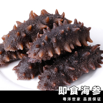 Готовый к употреблению морской огурец) Kangyuetang Dalian свежий морской огурец 500 г трепанга несухие товары в одной упаковке
