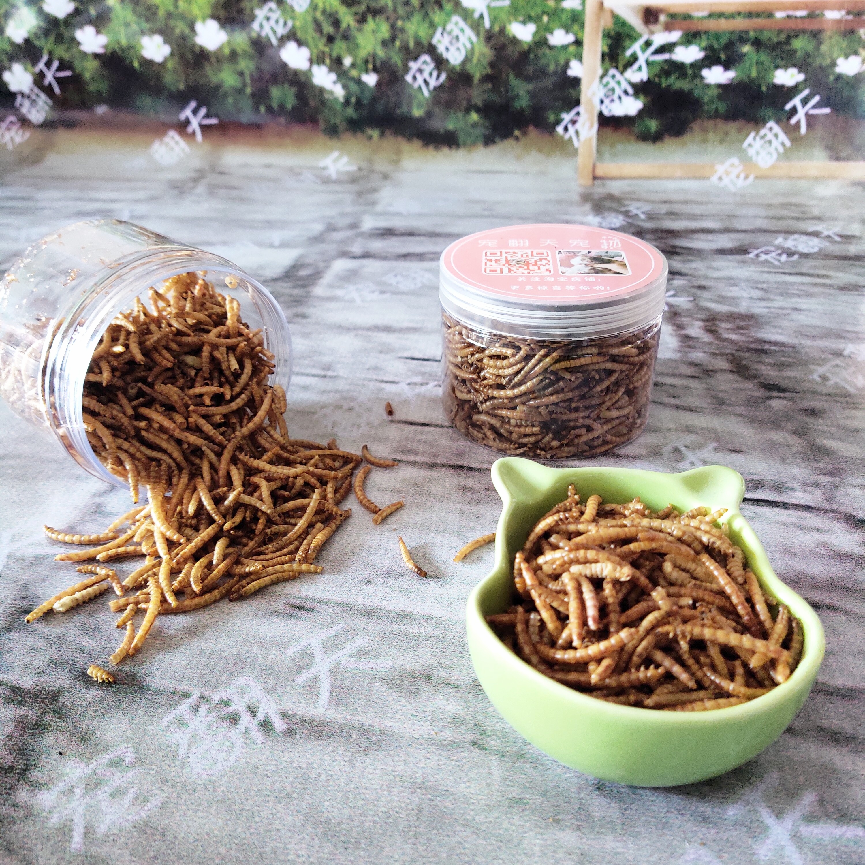 Breadworm dry hamster golden bear loves to eat snacks breadworm dry high protein nutrition snack hamster lying hand artifact