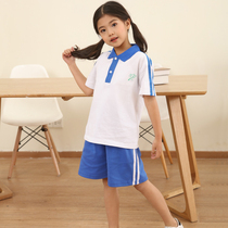 Shenzhen School Uniforms Elementary School Students Thin Section Speed Dry Summer Sportswear Suit Pure Cotton T-shirt Short Sleeves Short Long Pants School Uniform