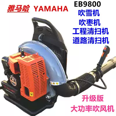 Mountain leaf carrying wind fire extinguisher High-power gasoline hair dryer Forest wind fire extinguisher snow blower